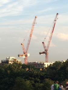 cranes